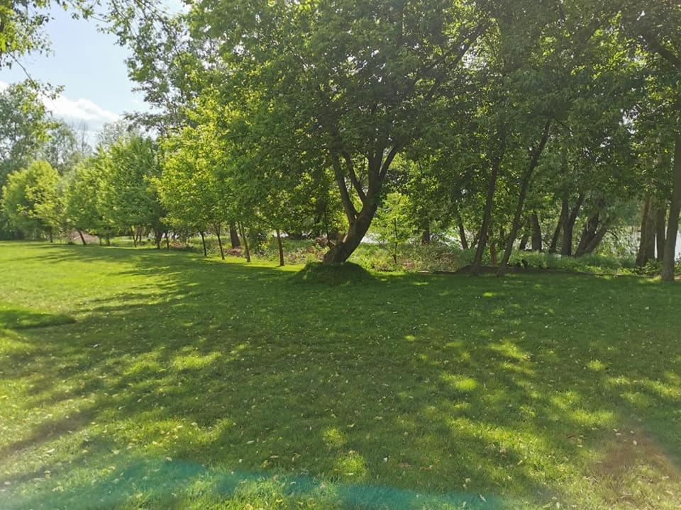 Pensiunea Lunca Arad Exterior foto