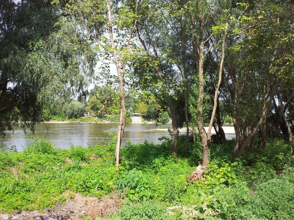 Pensiunea Lunca Arad Exterior foto